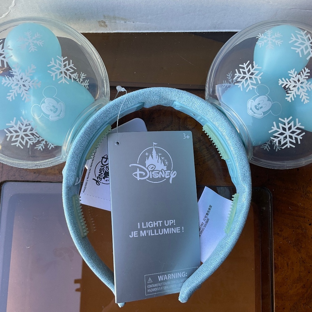 Disney parks Christmas light up ears